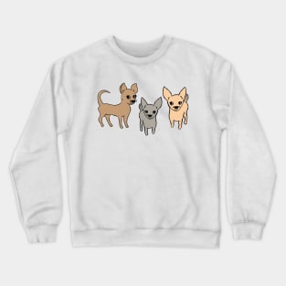 Chihuahua chihuahuas Crewneck Sweatshirt